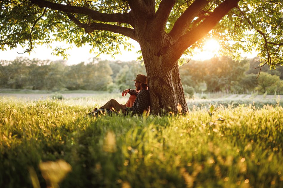 Bearded man relaxing under tree in nature
